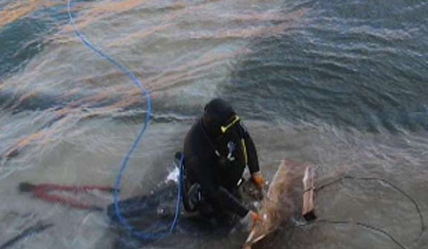 Nivelación de fondos marinos para construcciones marítimas